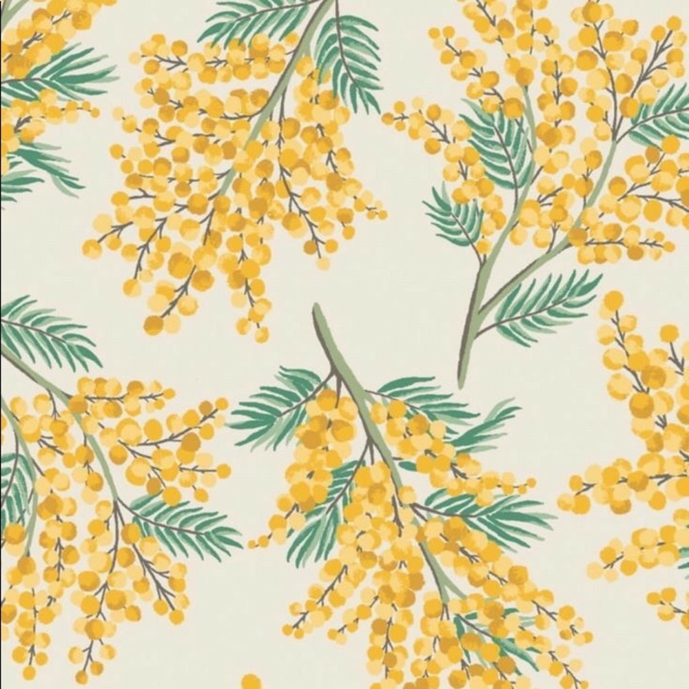 Meet your Posher, Heidi